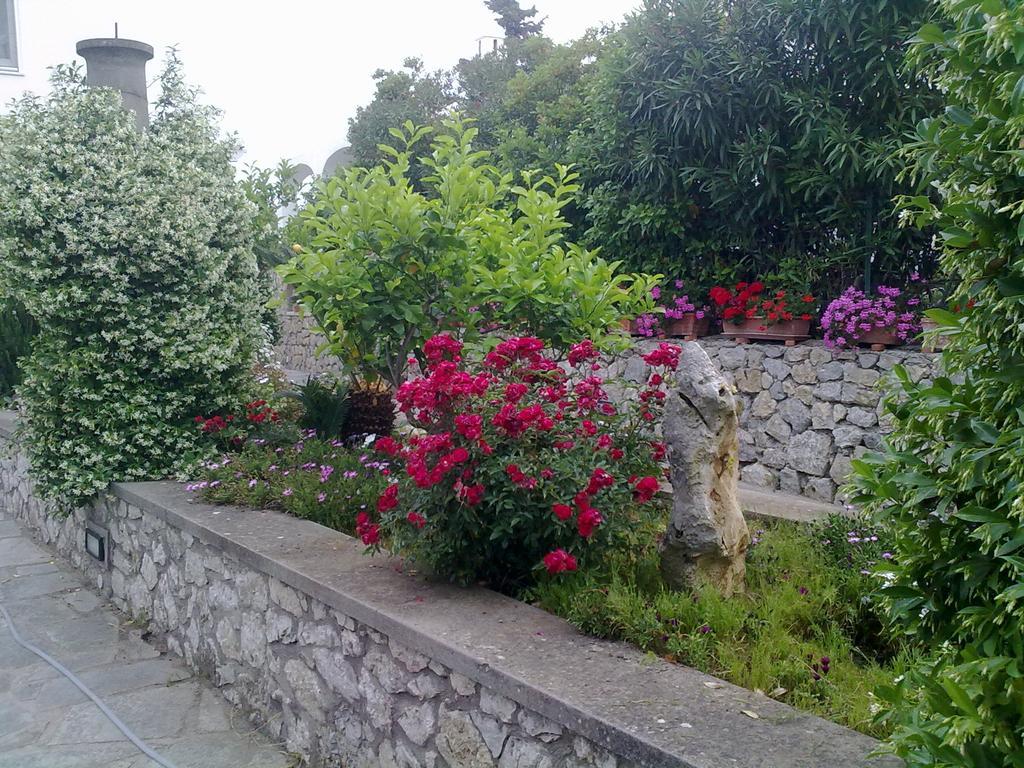 Il Merlo 아나카프리 외부 사진